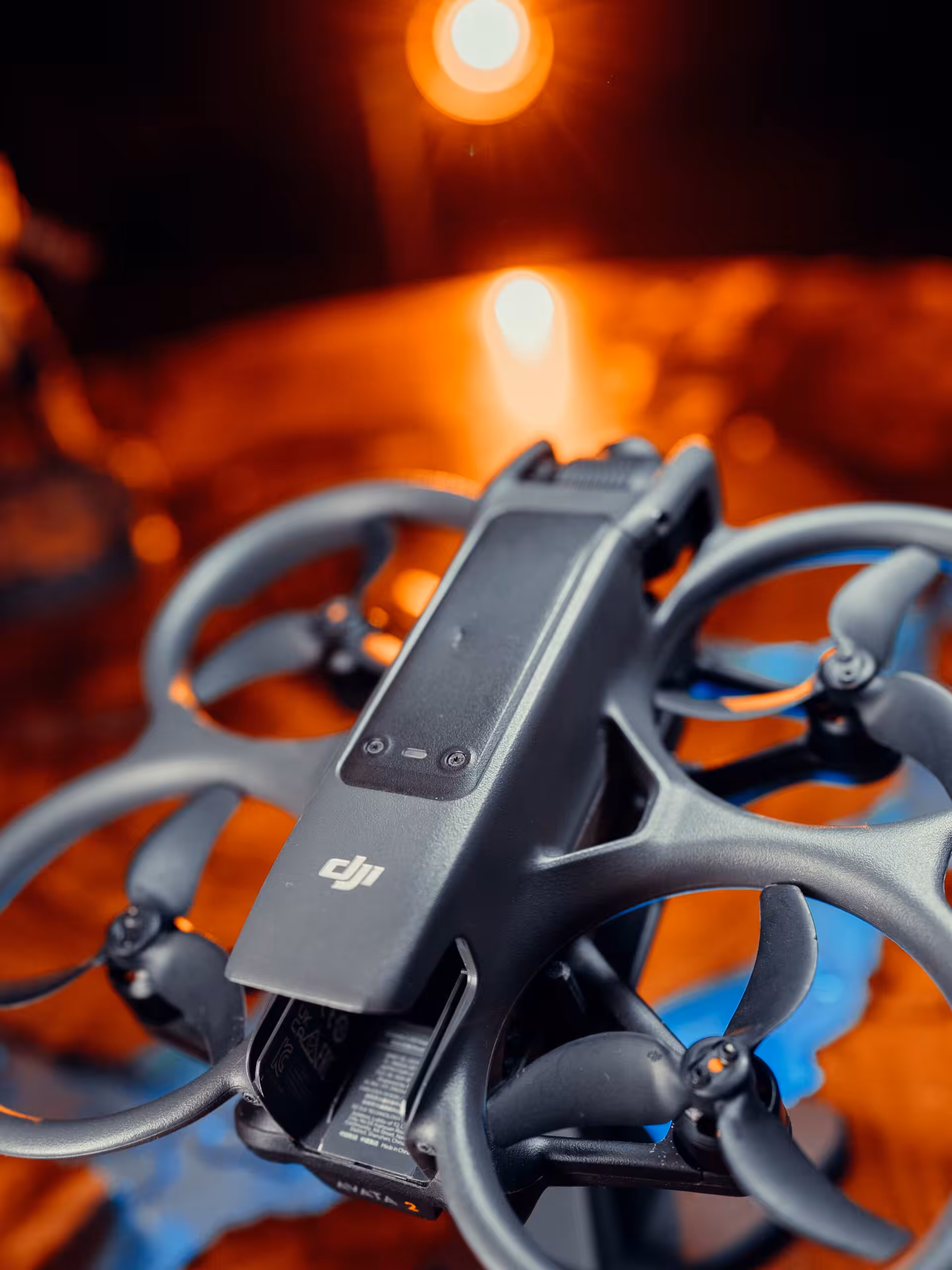 DSC09919 DSC09919