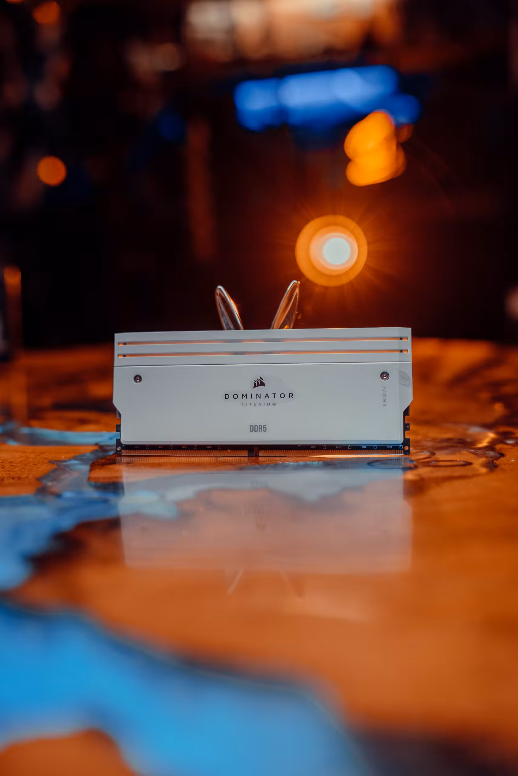 DSC05547 DSC05547